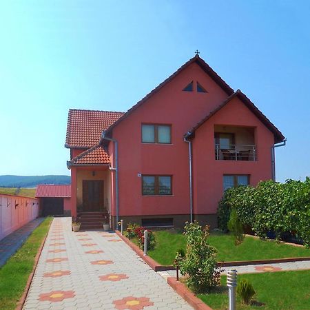 Vila La Izvor Petresti Luaran gambar