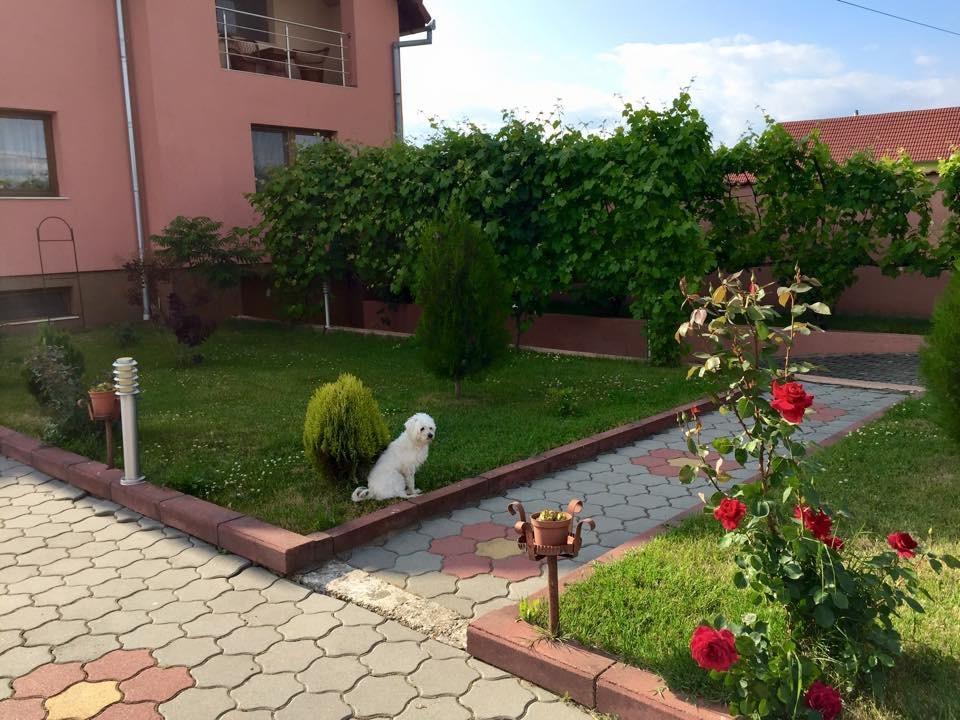 Vila La Izvor Petresti Luaran gambar