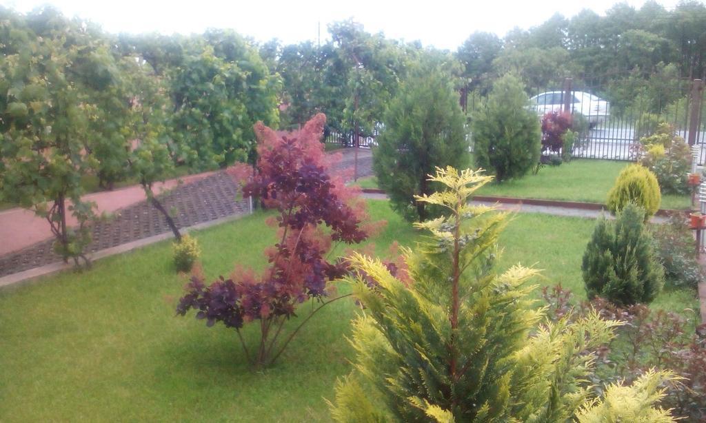 Vila La Izvor Petresti Luaran gambar