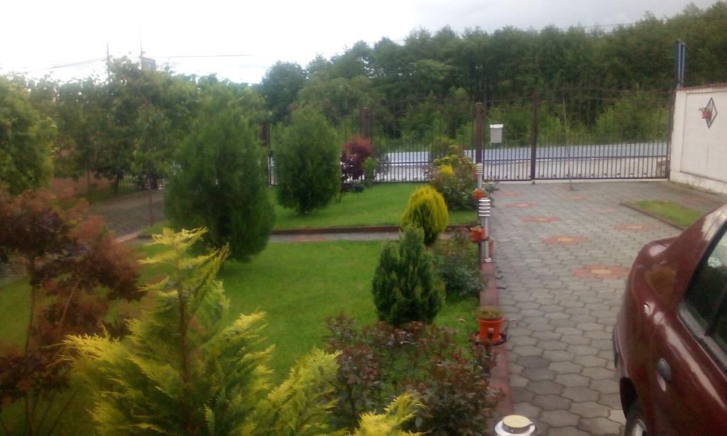 Vila La Izvor Petresti Luaran gambar
