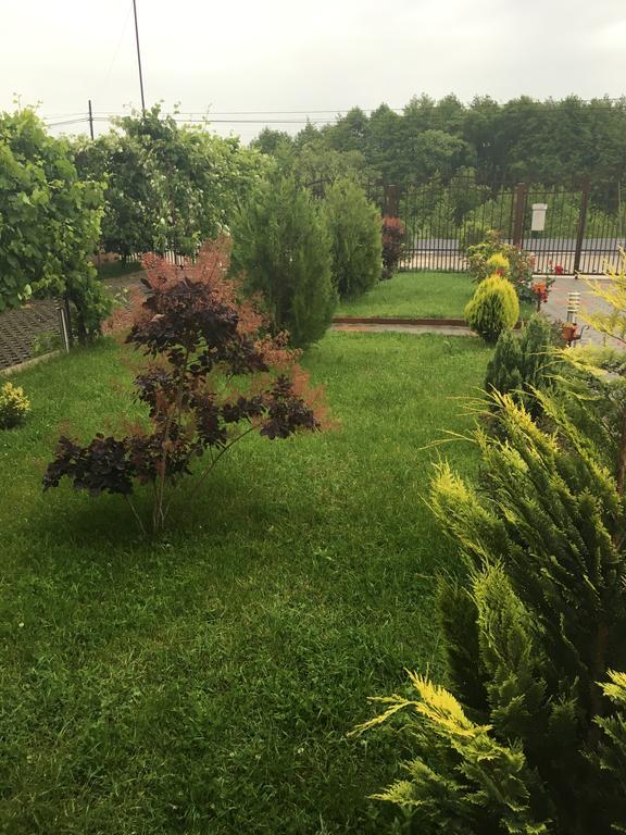 Vila La Izvor Petresti Luaran gambar