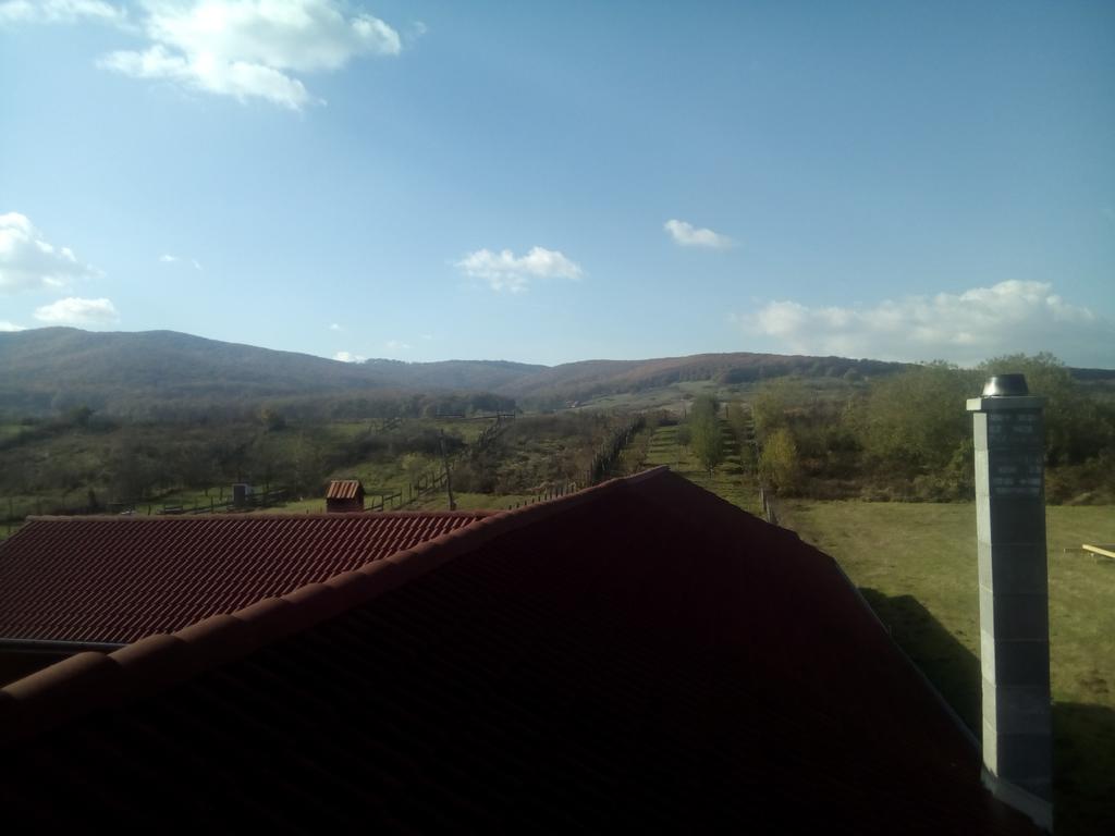Vila La Izvor Petresti Luaran gambar