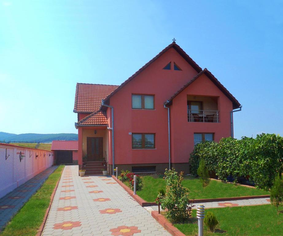 Vila La Izvor Petresti Luaran gambar