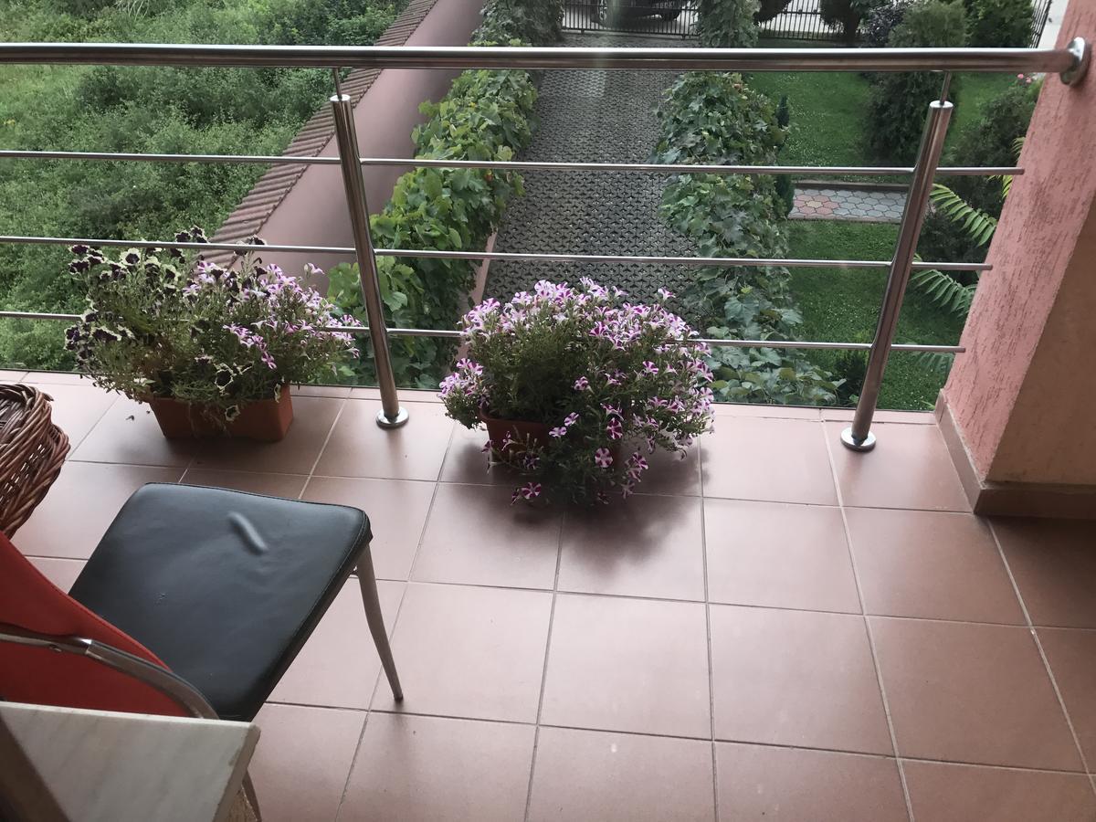 Vila La Izvor Petresti Luaran gambar
